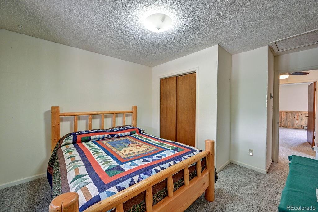 15245 Cr 353 Buena Vista CO 81211