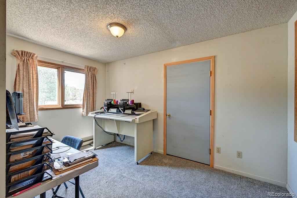 15245 Cr 353 Buena Vista CO 81211