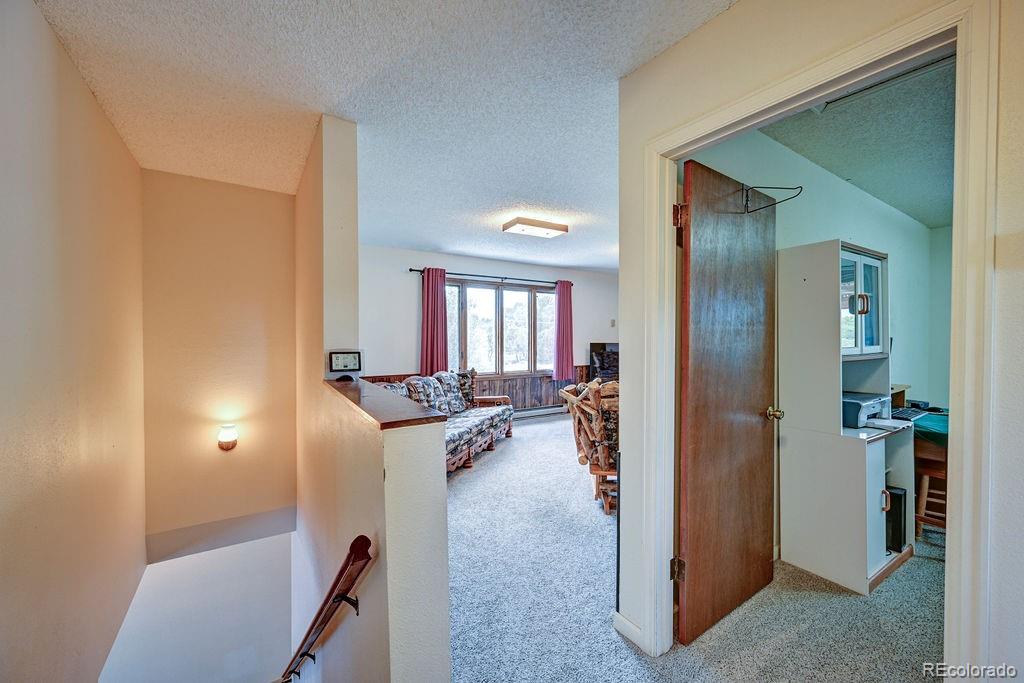15245 Cr 353 Buena Vista CO 81211