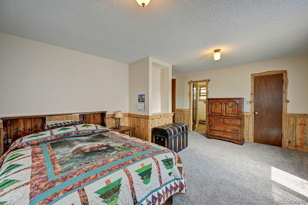 15245 Cr 353 Buena Vista CO 81211