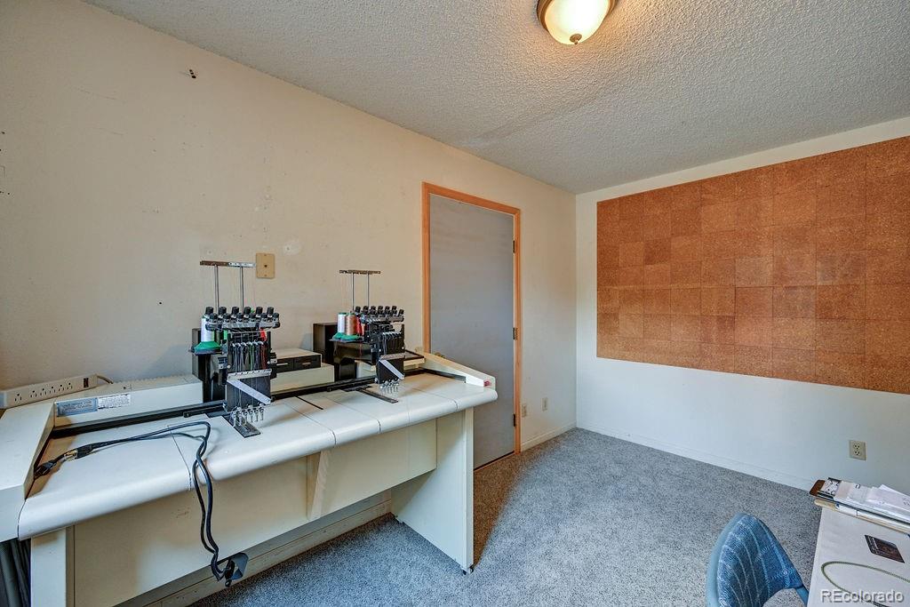 15245 Cr 353 Buena Vista CO 81211