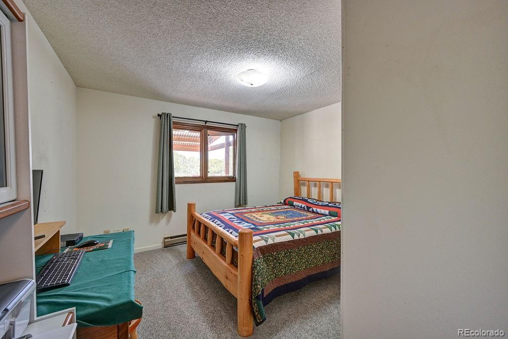 15245 Cr 353 Buena Vista CO 81211