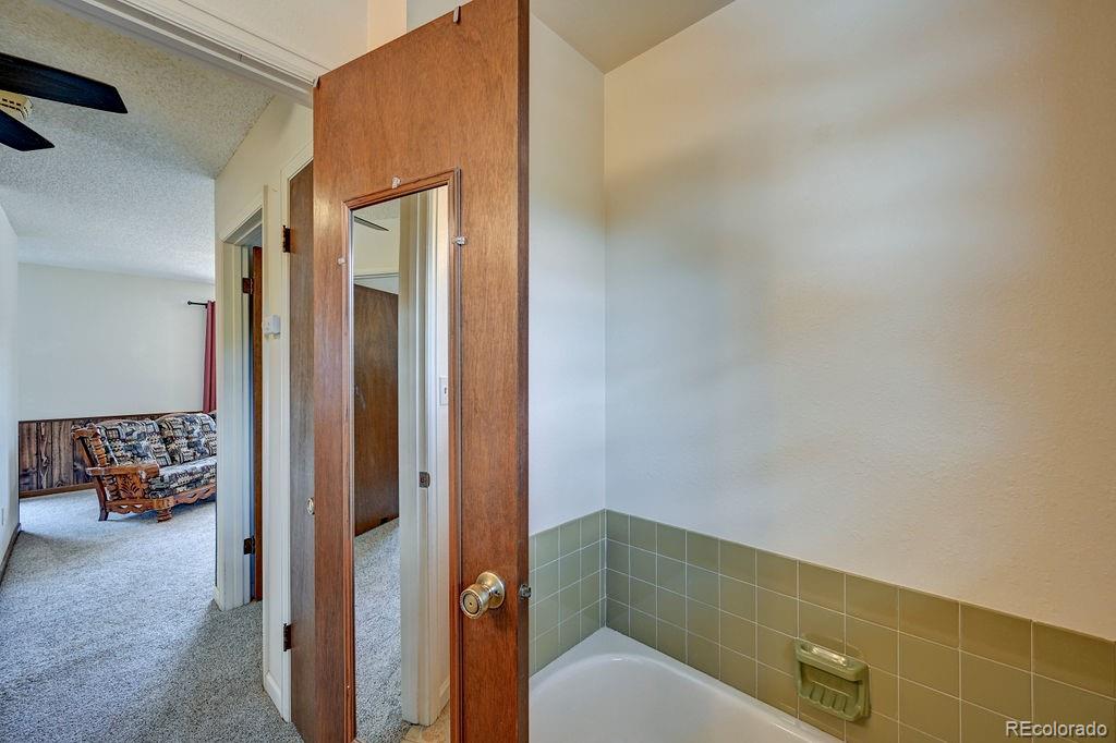15245 Cr 353 Buena Vista CO 81211