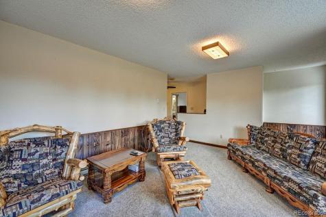 15245 Cr 353 Buena Vista CO 81211