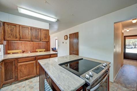 15245 Cr 353 Buena Vista CO 81211