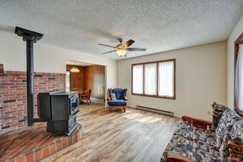 15245 Cr 353 Buena Vista CO 81211