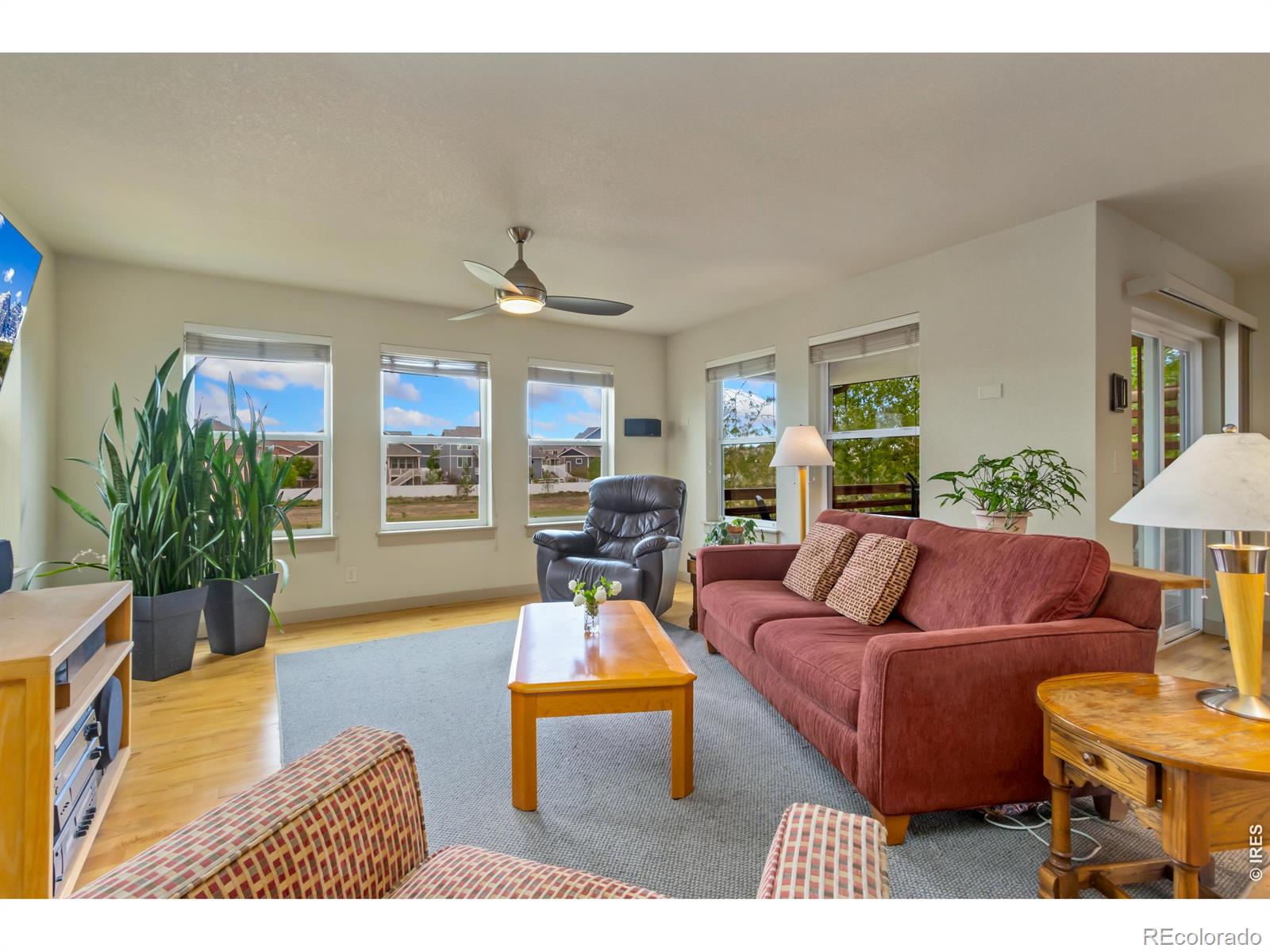 511 Prairie Clover Way Severance CO 80550