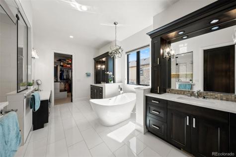 258 Castlemaine Court Castle Rock CO 80104