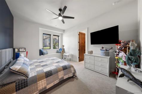 258 Castlemaine Court Castle Rock CO 80104