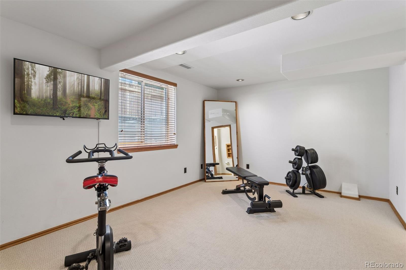 1355 S Alton Court Denver CO 80247