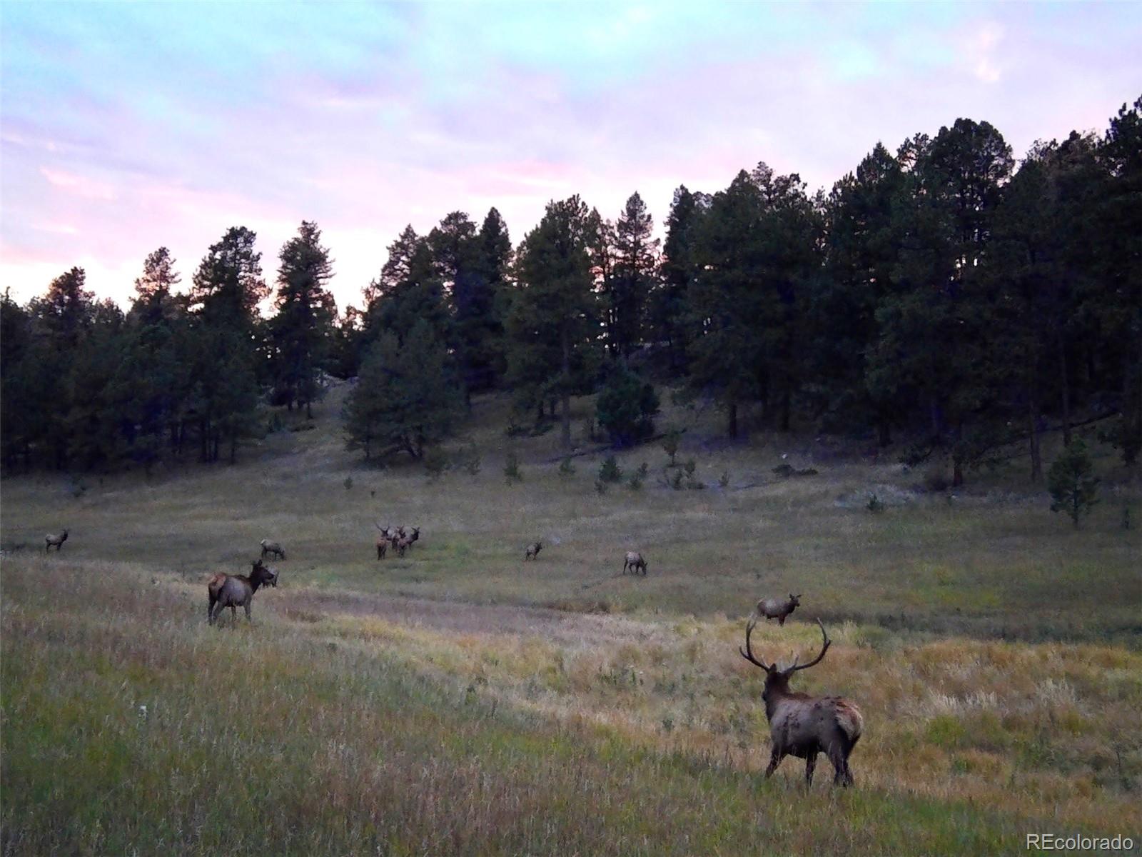 12434 S Us Highway 285 Conifer CO 80433