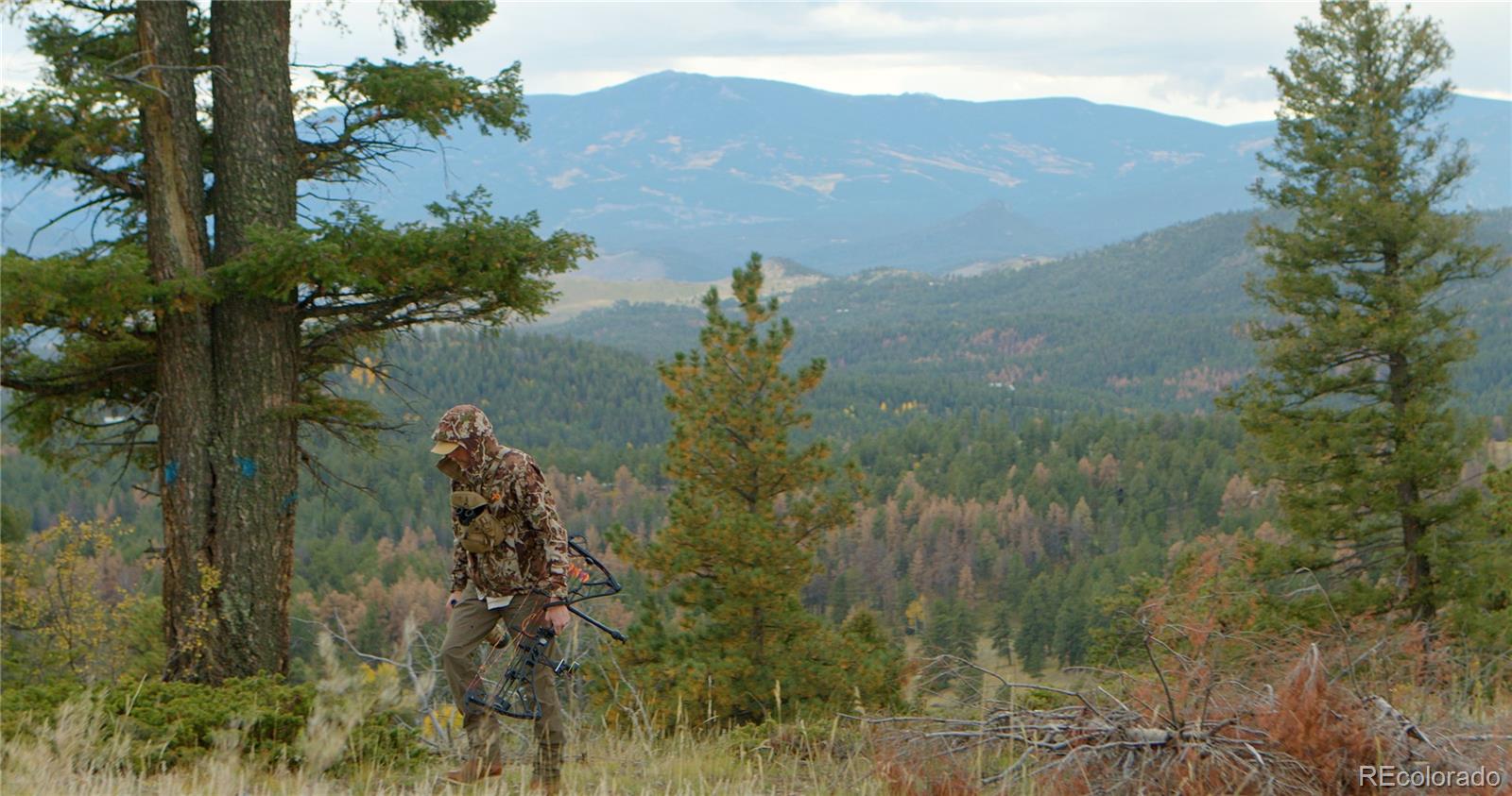 12434 S Us Highway 285 Conifer CO 80433