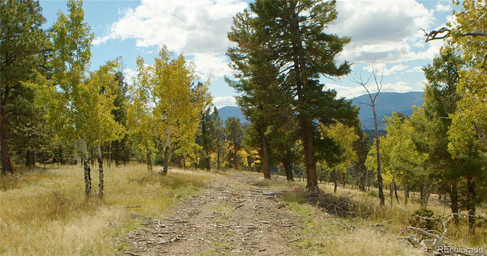 12434 S Us Highway 285 Conifer CO 80433
