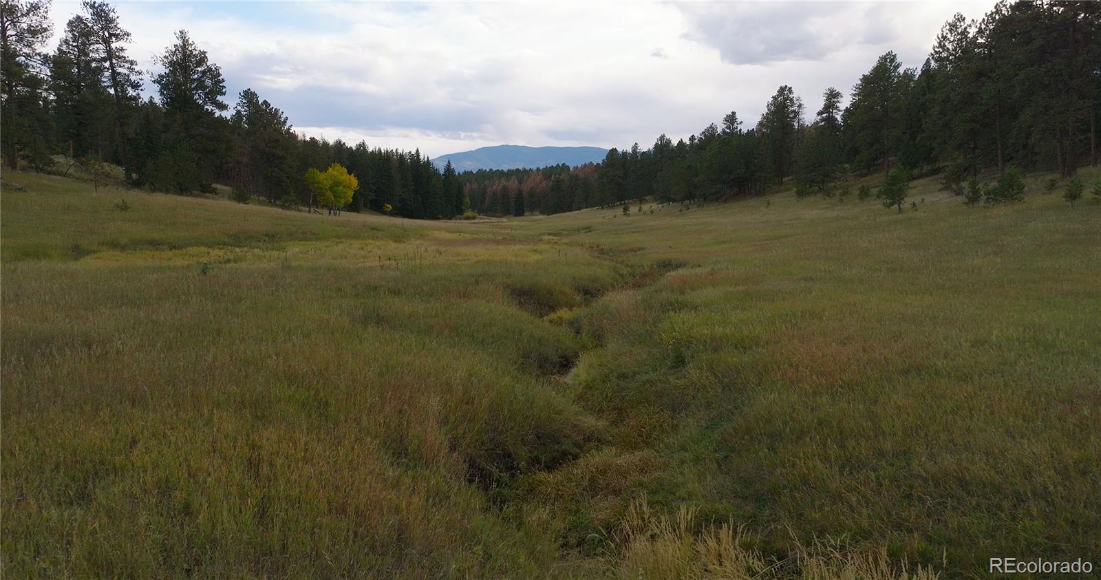 12434 S Us Highway 285 Conifer CO 80433