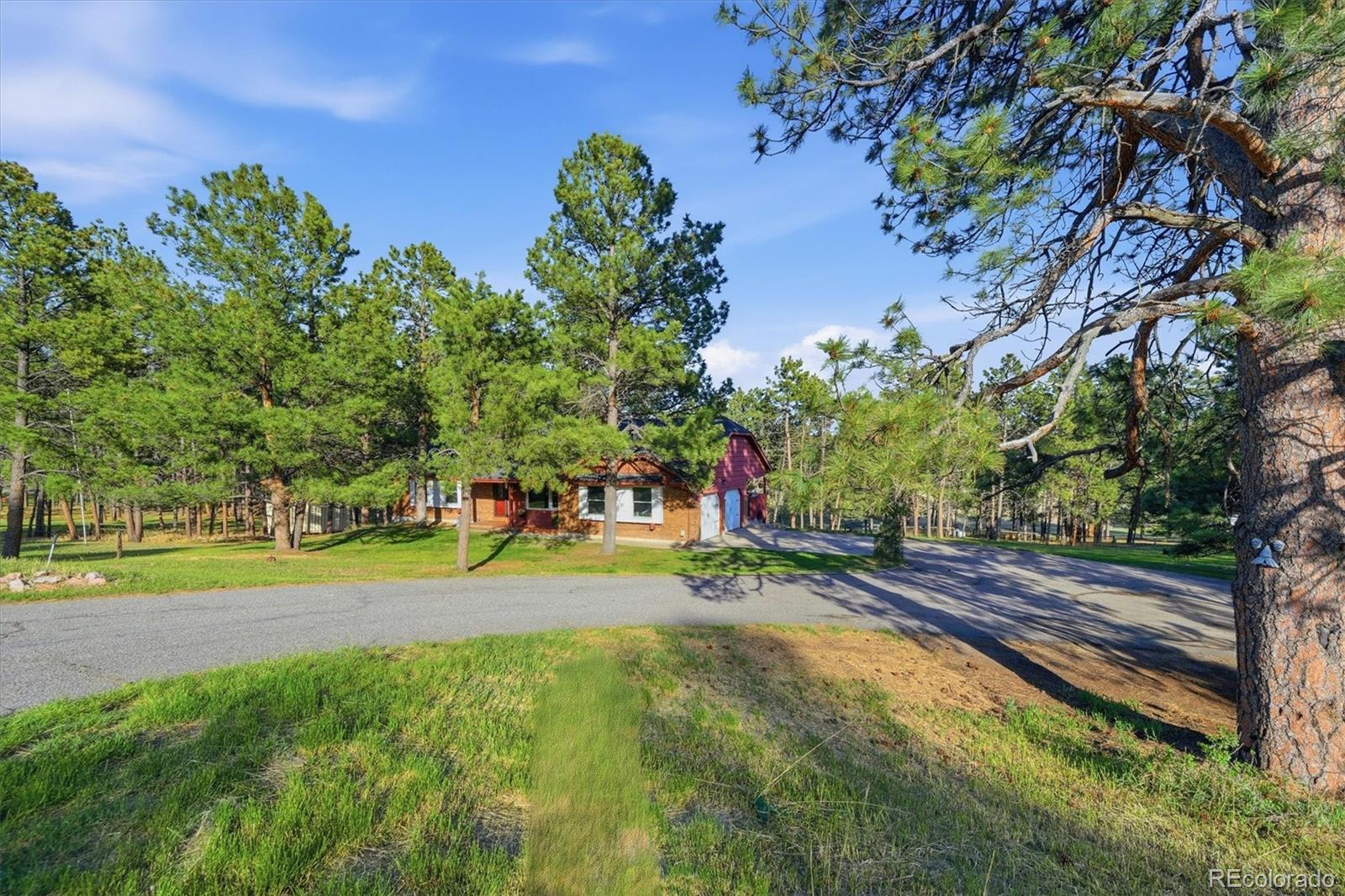 11486 Ponderosa Lane Franktown CO 80116