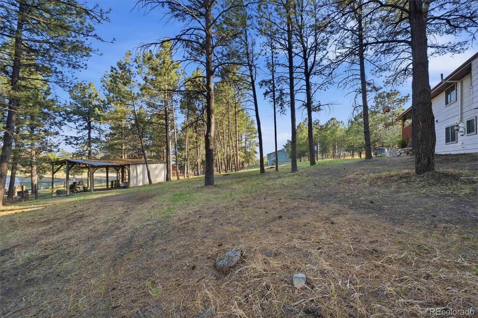 11486 Ponderosa Lane Franktown CO 80116