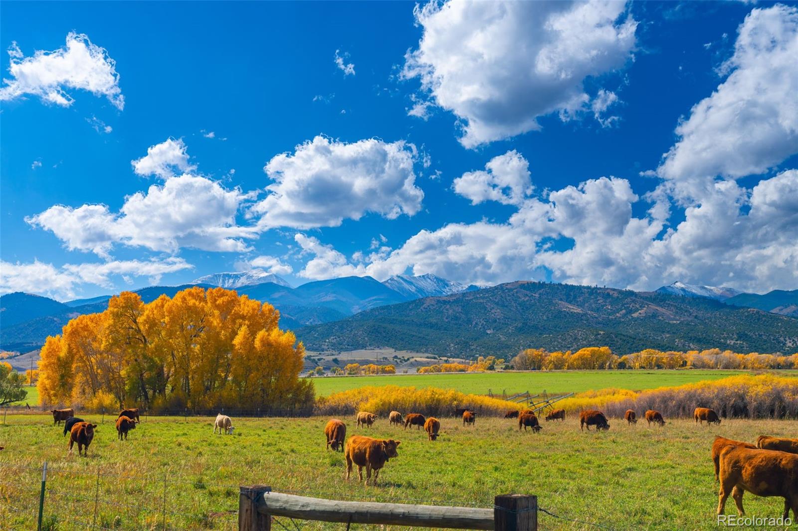 12501 Country Meadow Lane Salida CO 81201