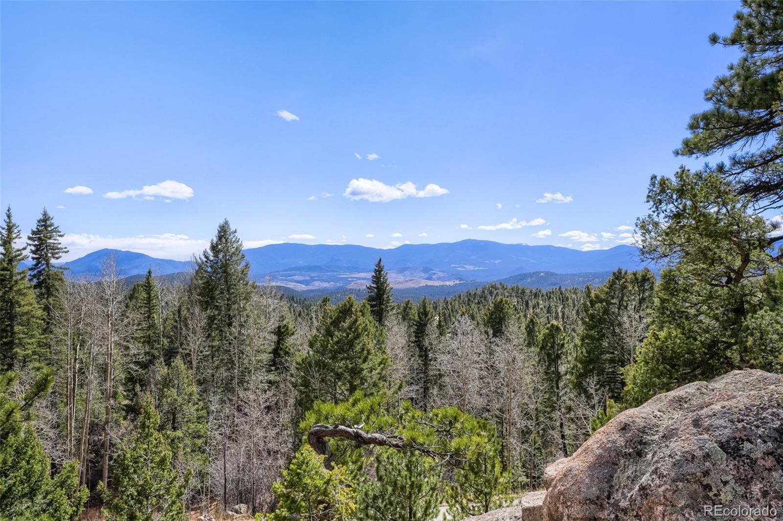 29821 Kings Valley E Conifer CO 80433