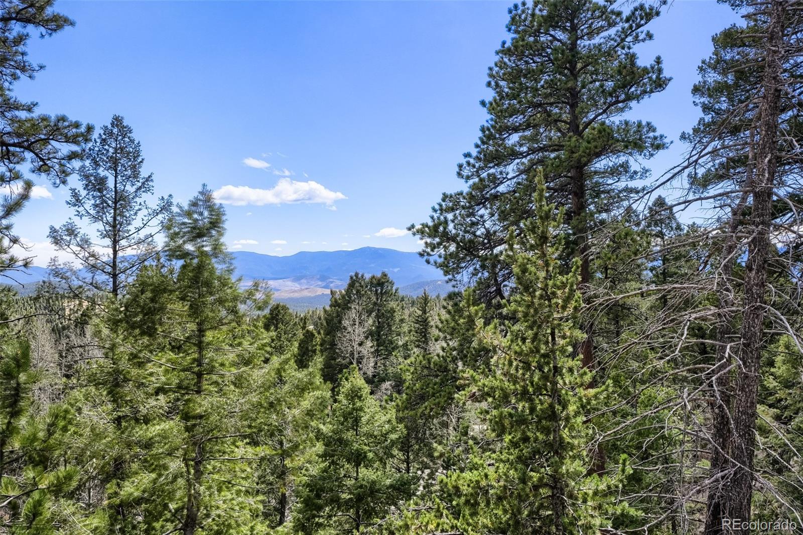 29821 Kings Valley E Conifer CO 80433