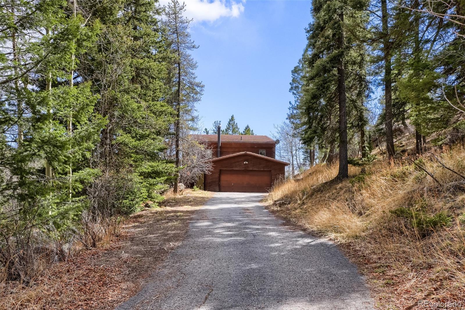 29821 Kings Valley E Conifer CO 80433