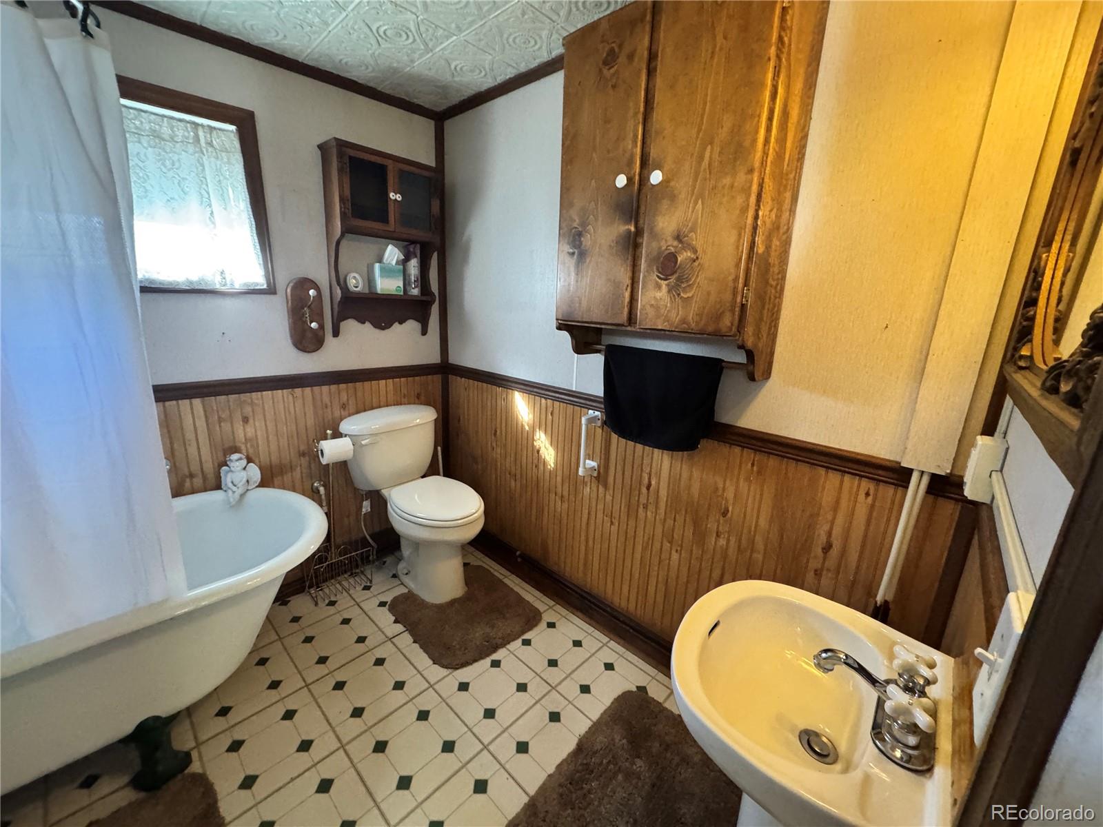 119 Tabor Street Buena Vista CO 81211