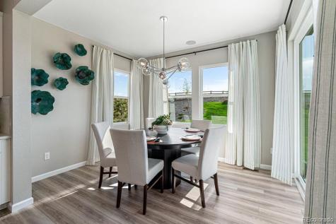 8722 Whiteclover Street Littleton CO 80125