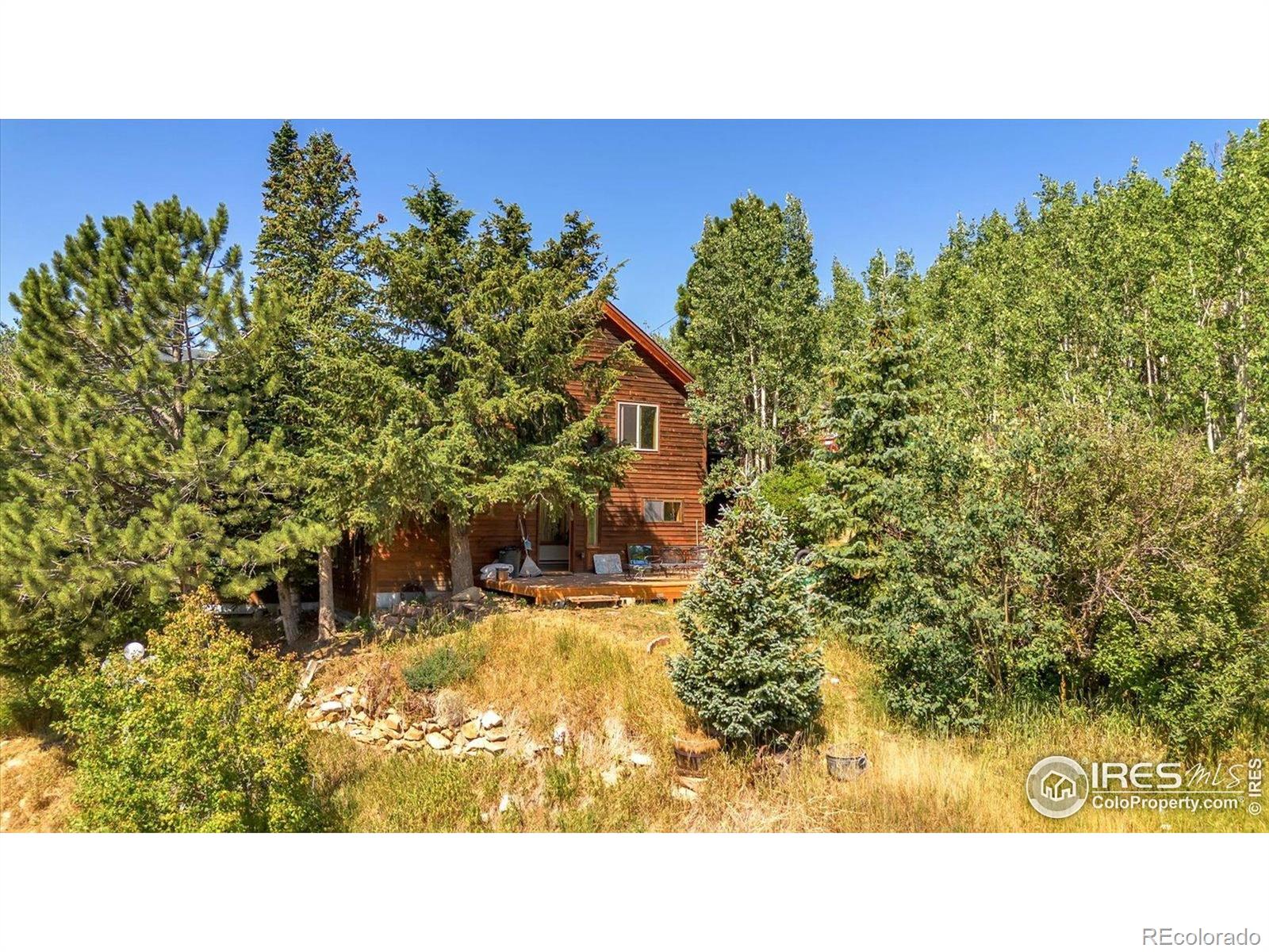 57 Nelson Street Ward CO 80481