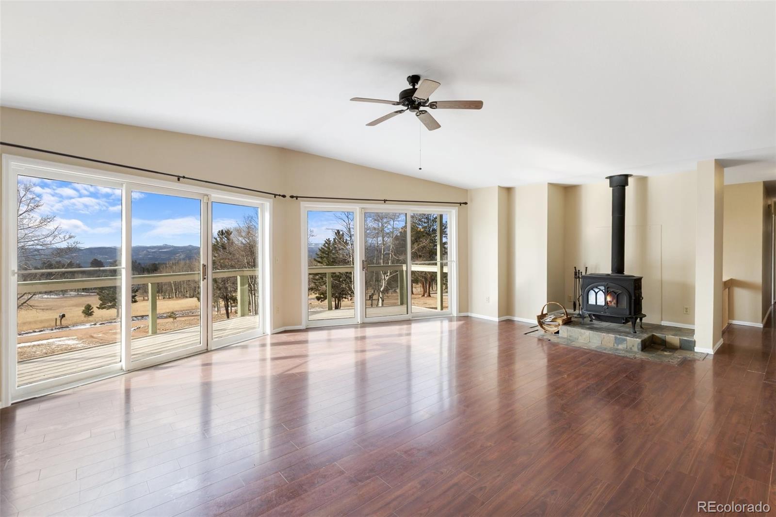 1874 Vagabond Creek Drive Lake George CO 80827