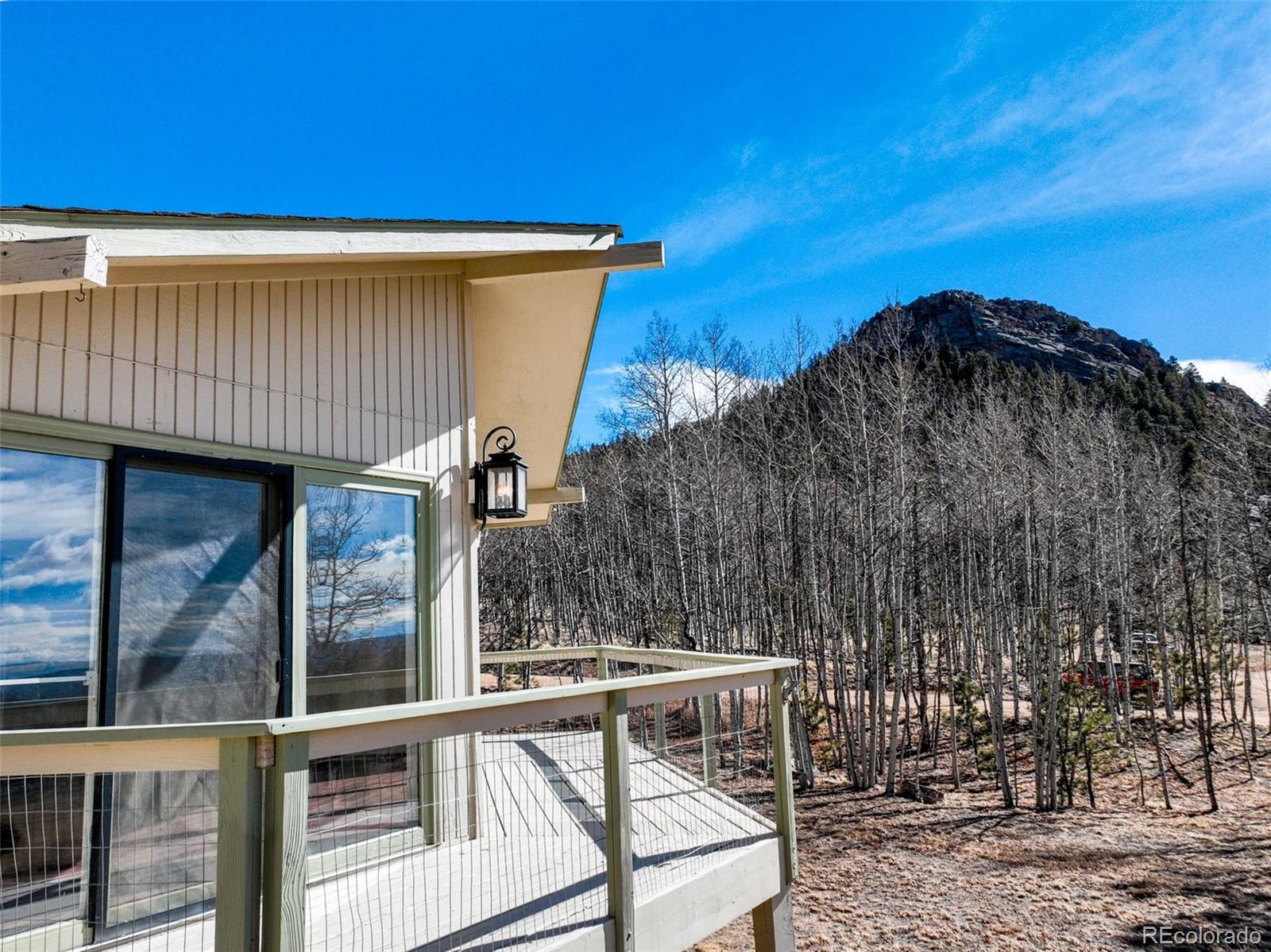 1874 Vagabond Creek Drive Lake George CO 80827