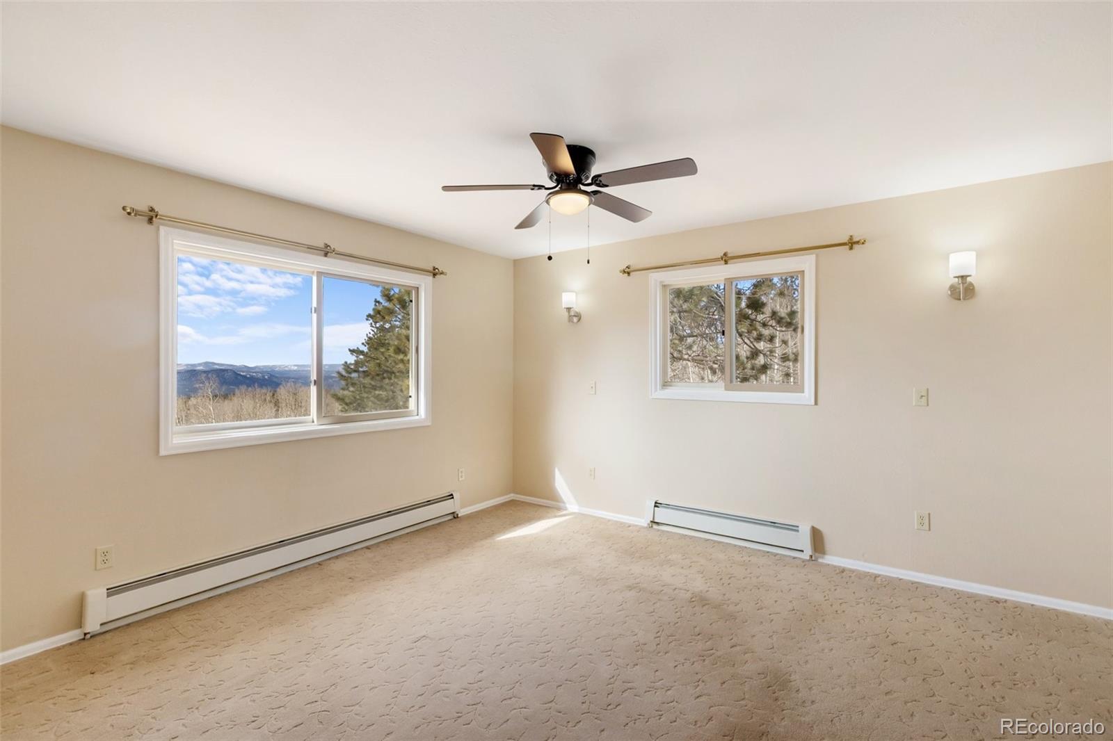1874 Vagabond Creek Drive Lake George CO 80827