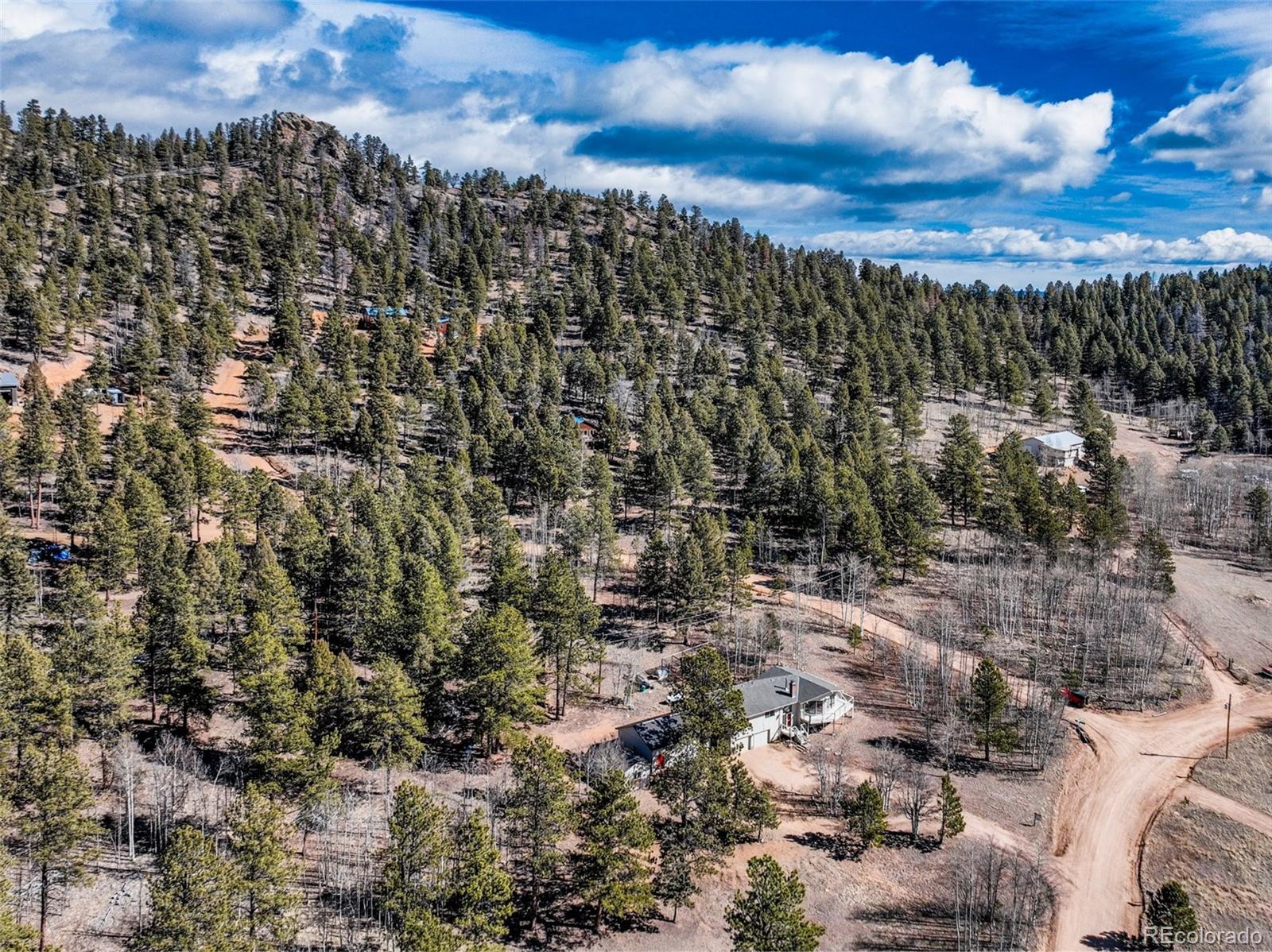 1874 Vagabond Creek Drive Lake George CO 80827