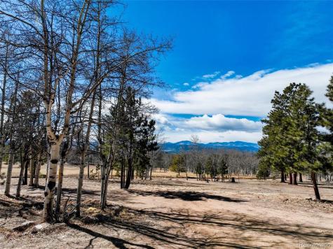 1874 Vagabond Creek Drive Lake George CO 80827