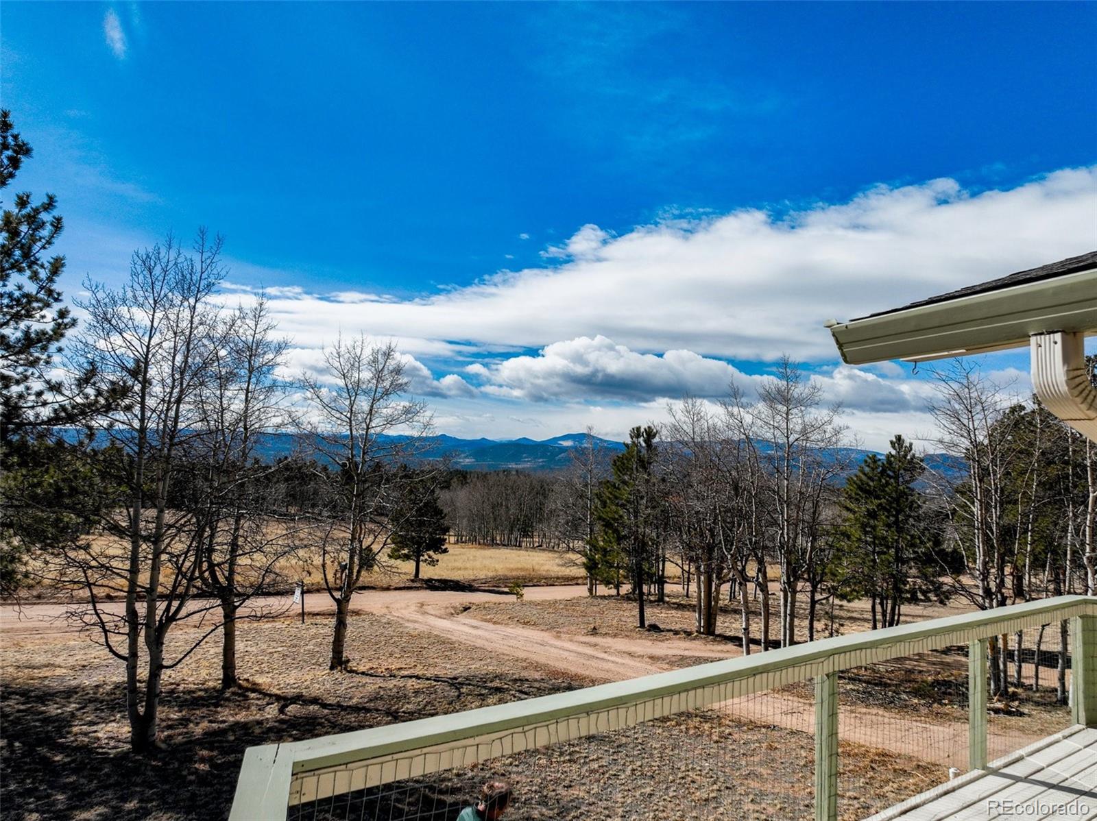1874 Vagabond Creek Drive Lake George CO 80827