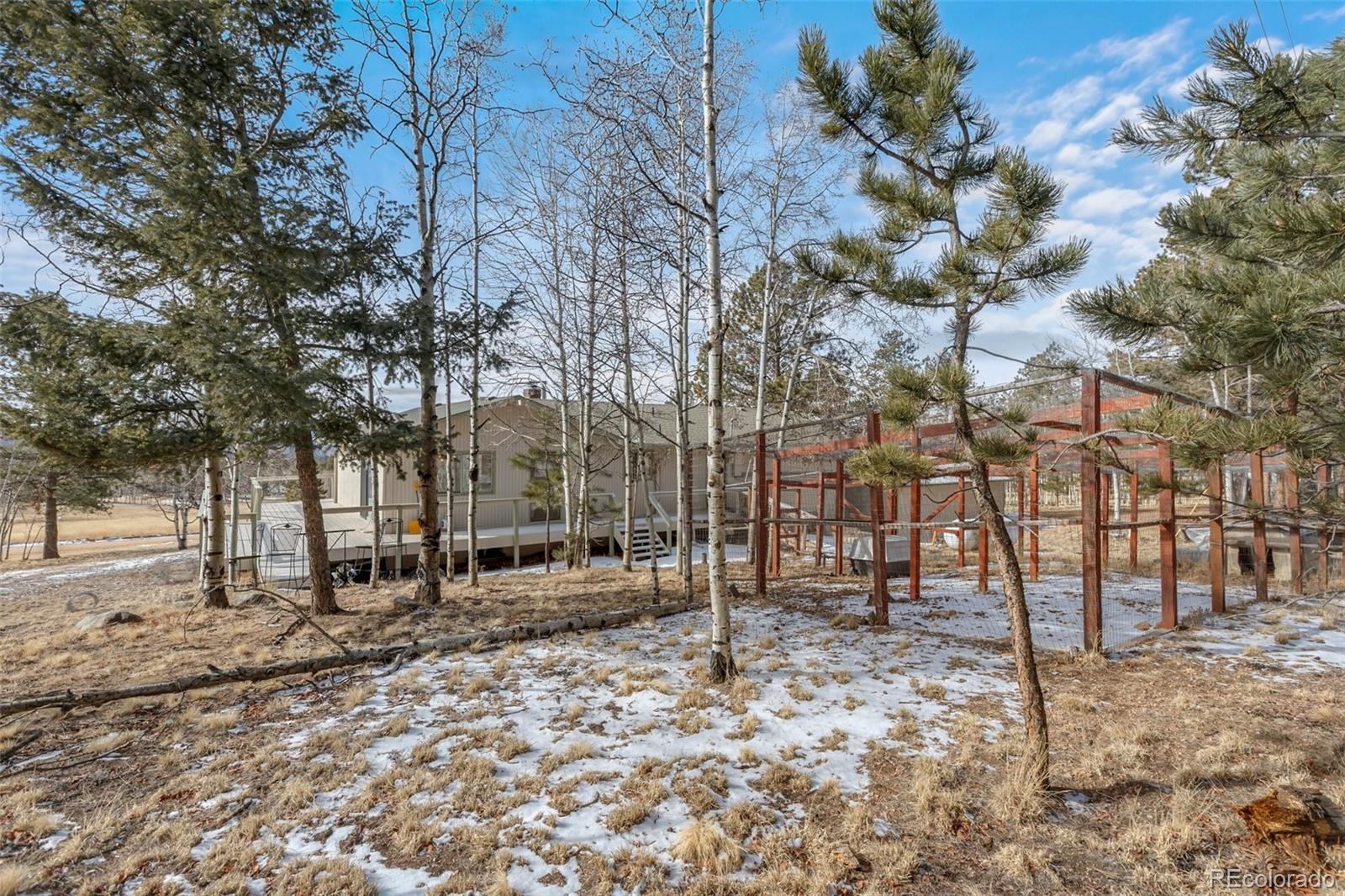 1874 Vagabond Creek Drive Lake George CO 80827
