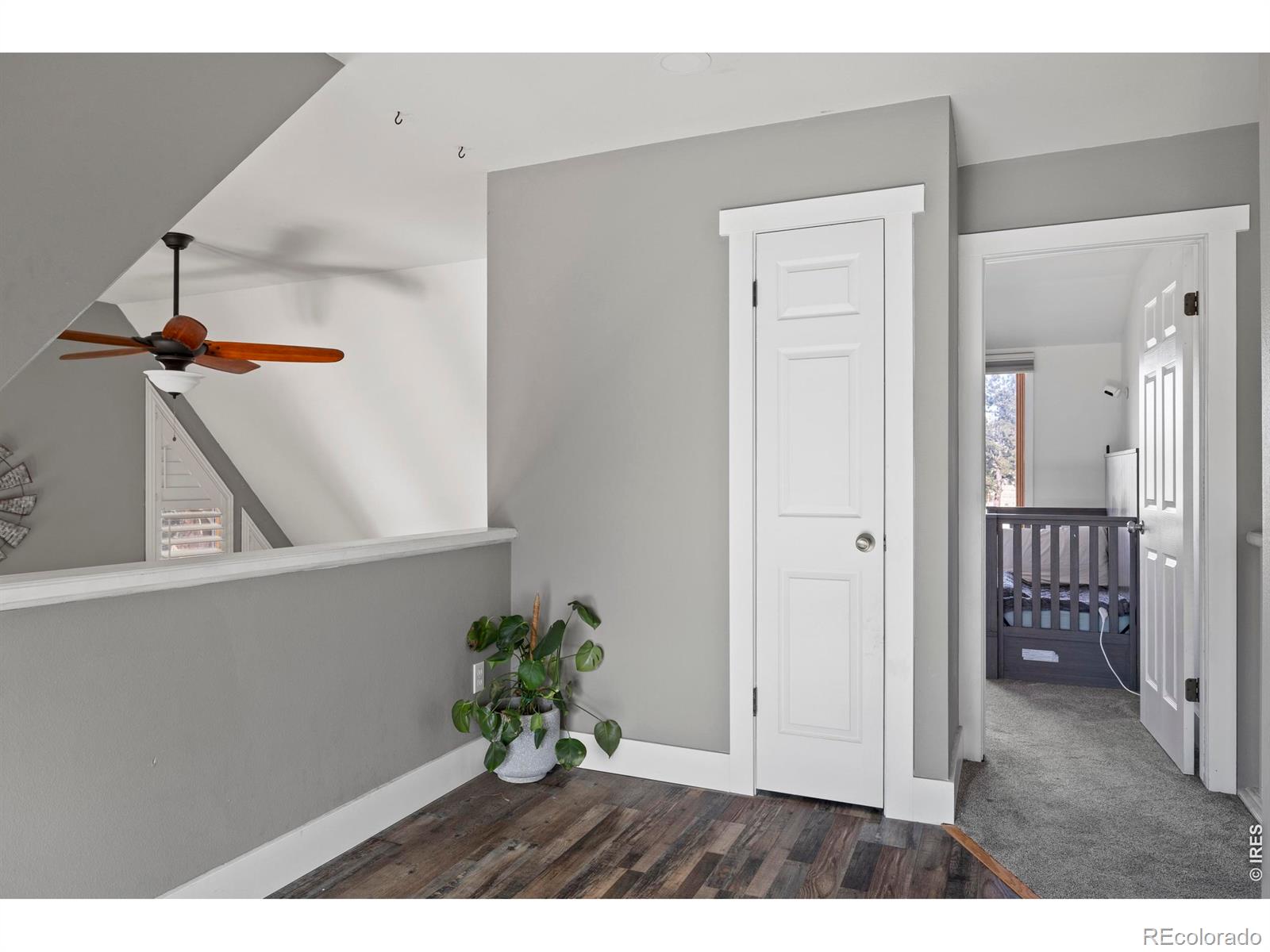 100 S Cucharas Mountain Court Livermore CO 80536