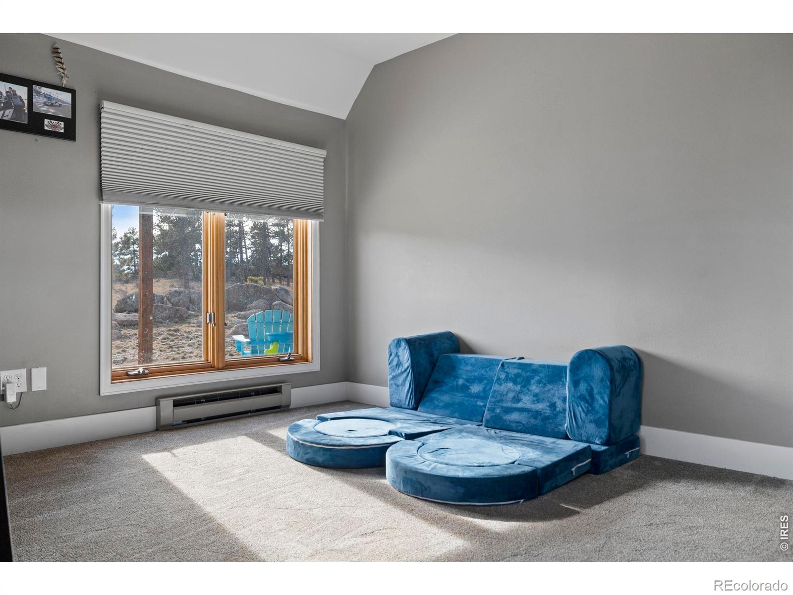 100 S Cucharas Mountain Court Livermore CO 80536
