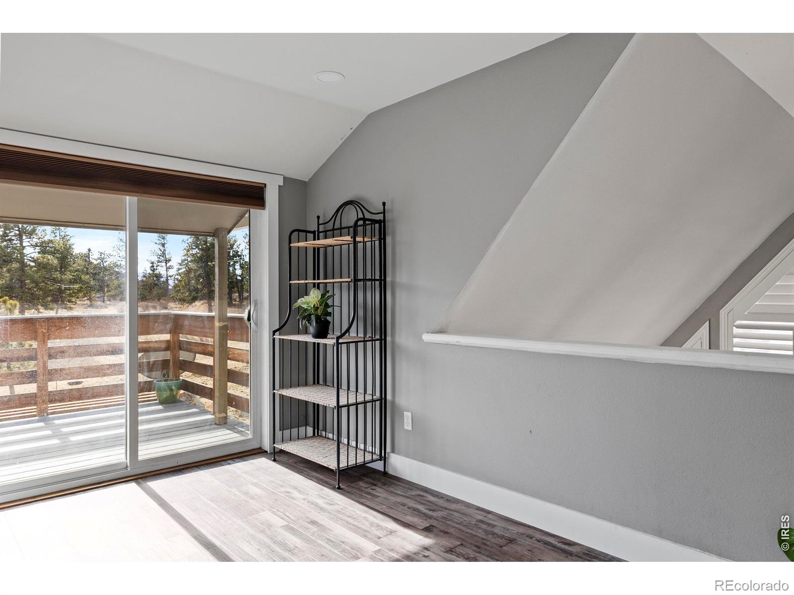 100 S Cucharas Mountain Court Livermore CO 80536
