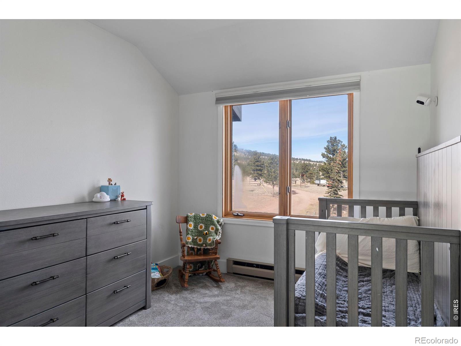 100 S Cucharas Mountain Court Livermore CO 80536