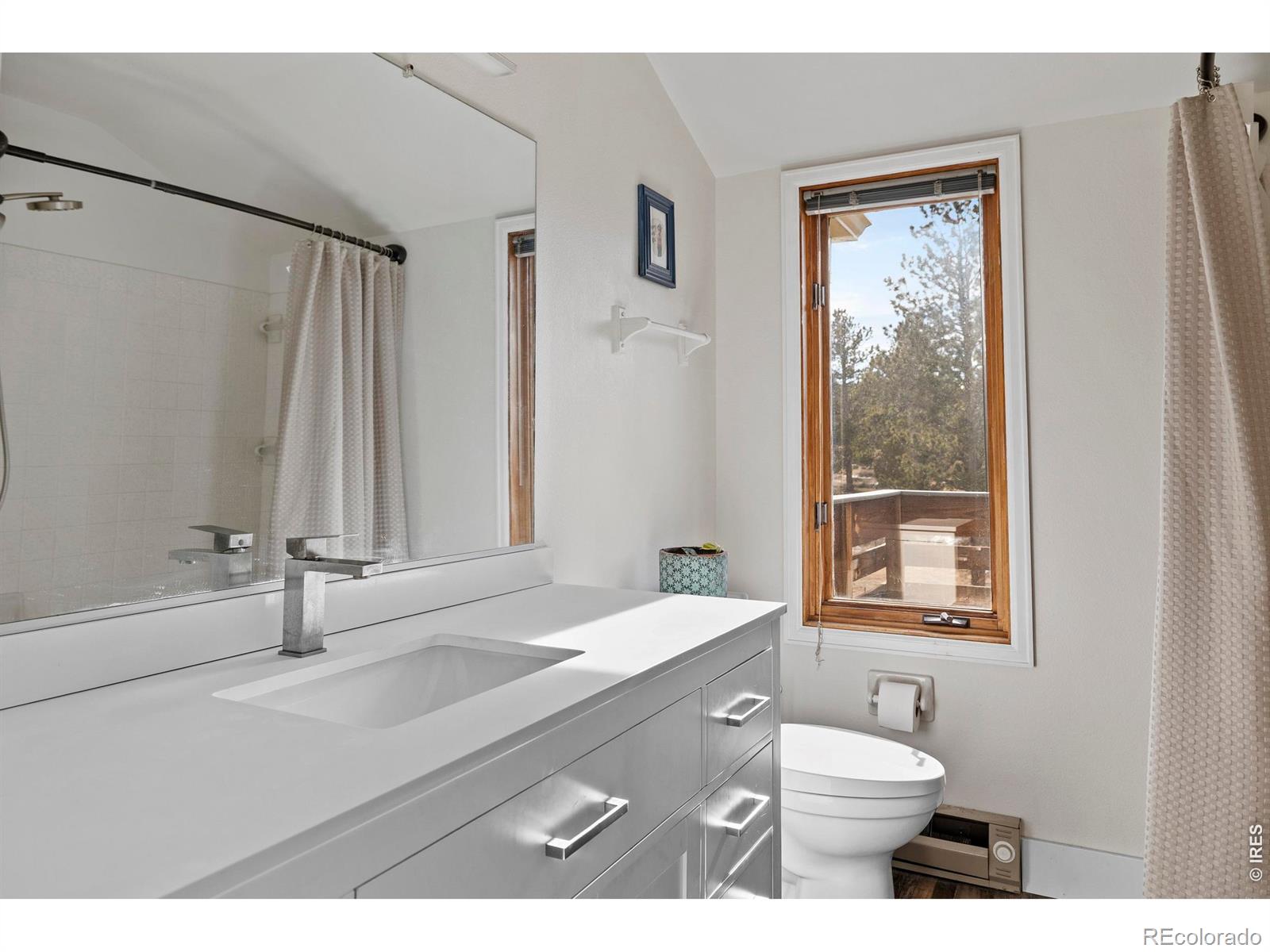 100 S Cucharas Mountain Court Livermore CO 80536