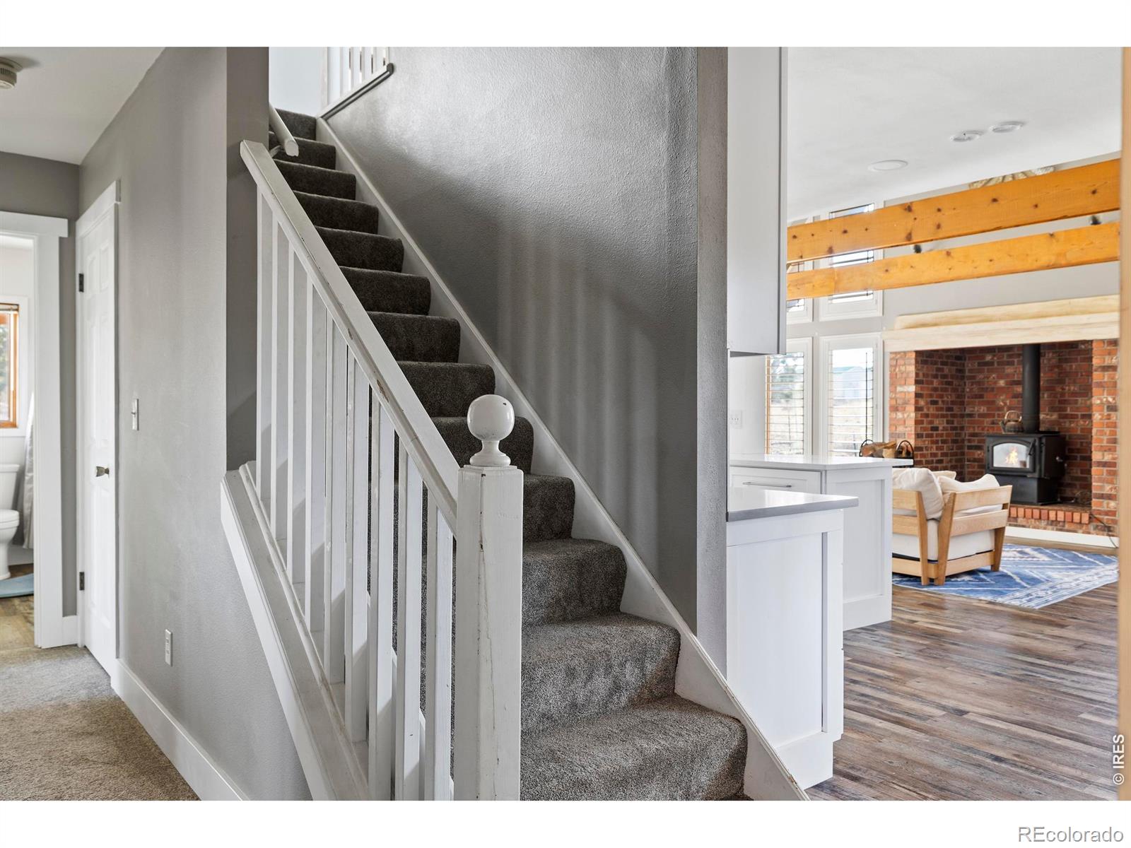 100 S Cucharas Mountain Court Livermore CO 80536