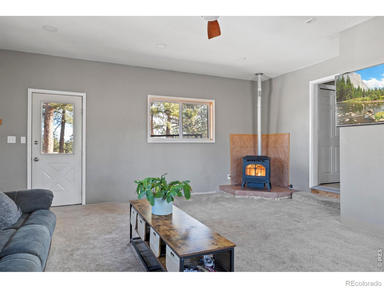 100 S Cucharas Mountain Court Livermore CO 80536
