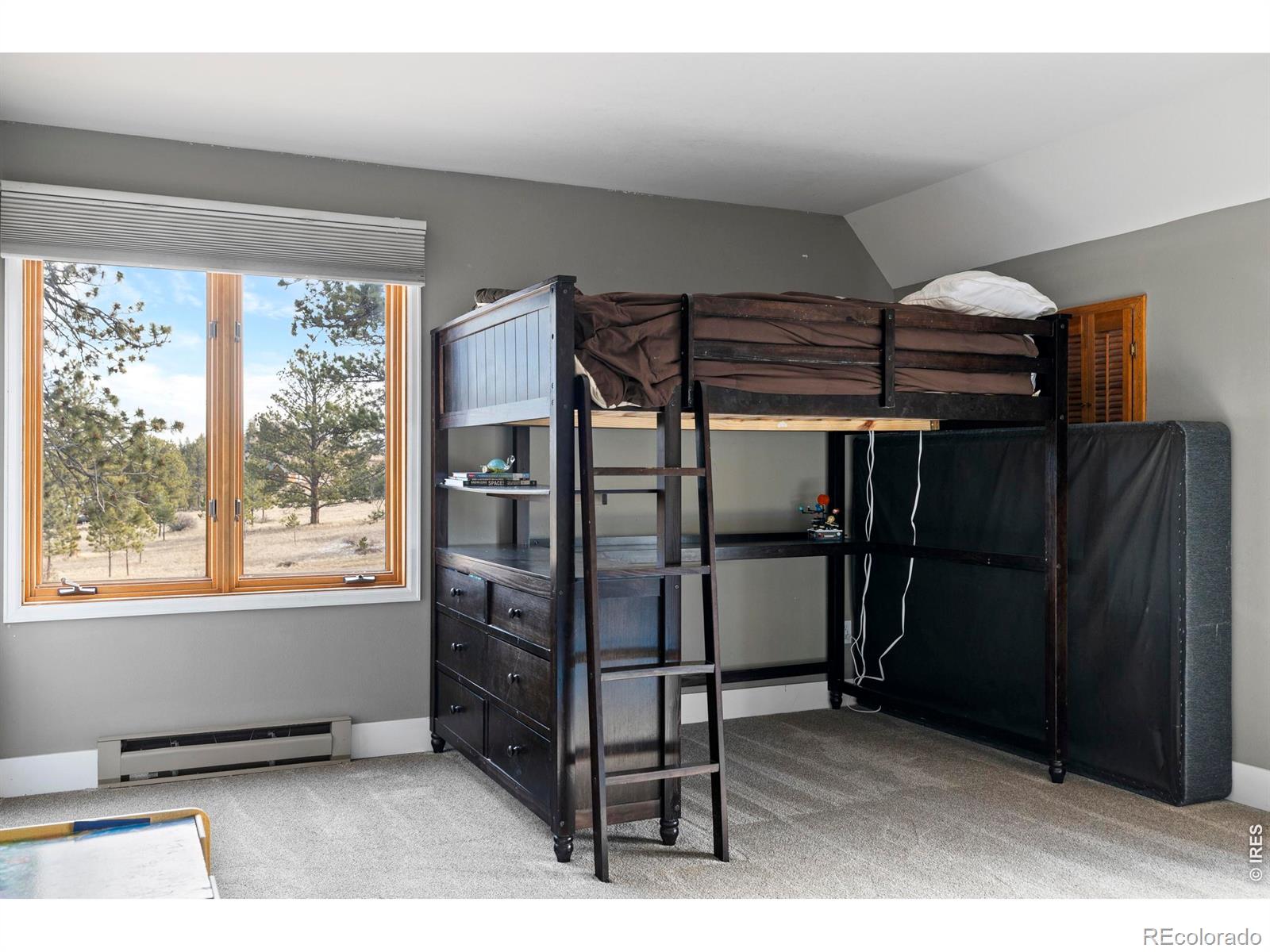 100 S Cucharas Mountain Court Livermore CO 80536