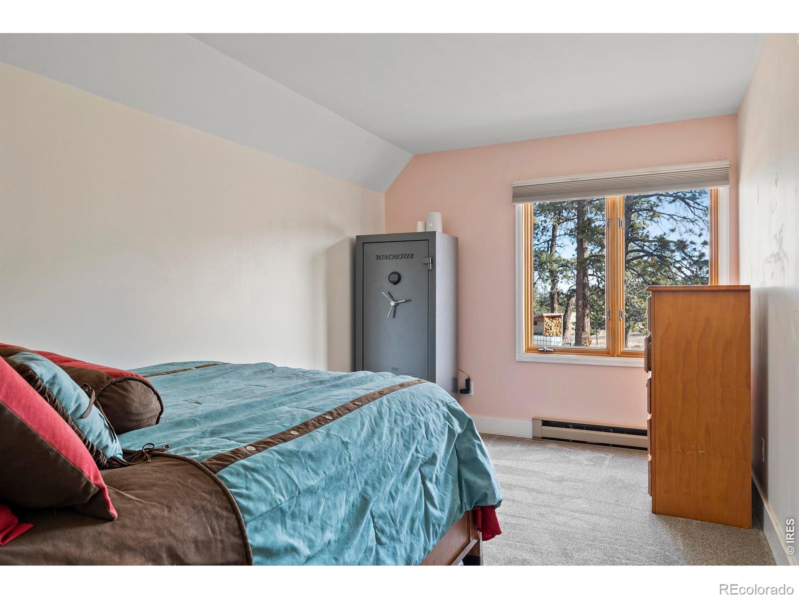 100 S Cucharas Mountain Court Livermore CO 80536