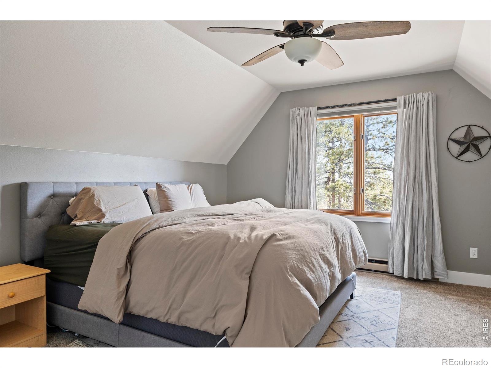 100 S Cucharas Mountain Court Livermore CO 80536