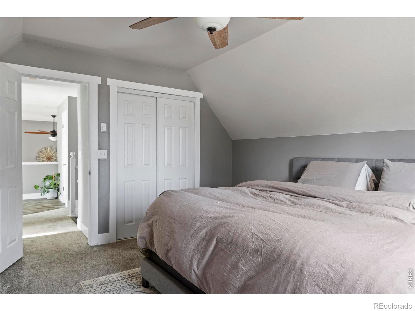 100 S Cucharas Mountain Court Livermore CO 80536