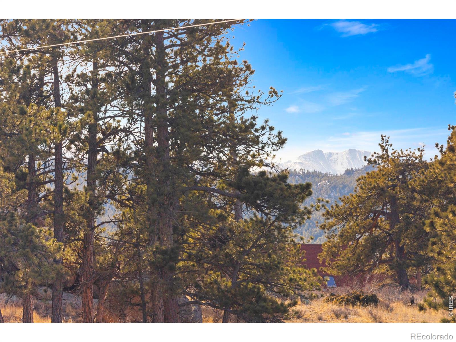 100 S Cucharas Mountain Court Livermore CO 80536