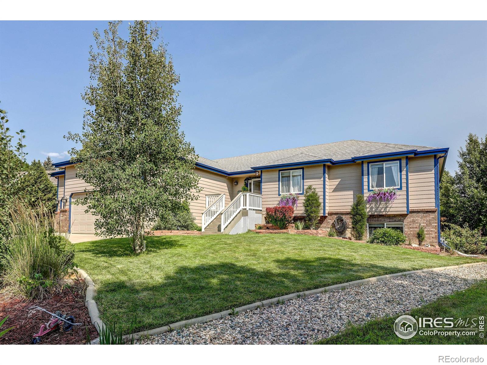 4241 Fescue Drive Loveland CO 80537