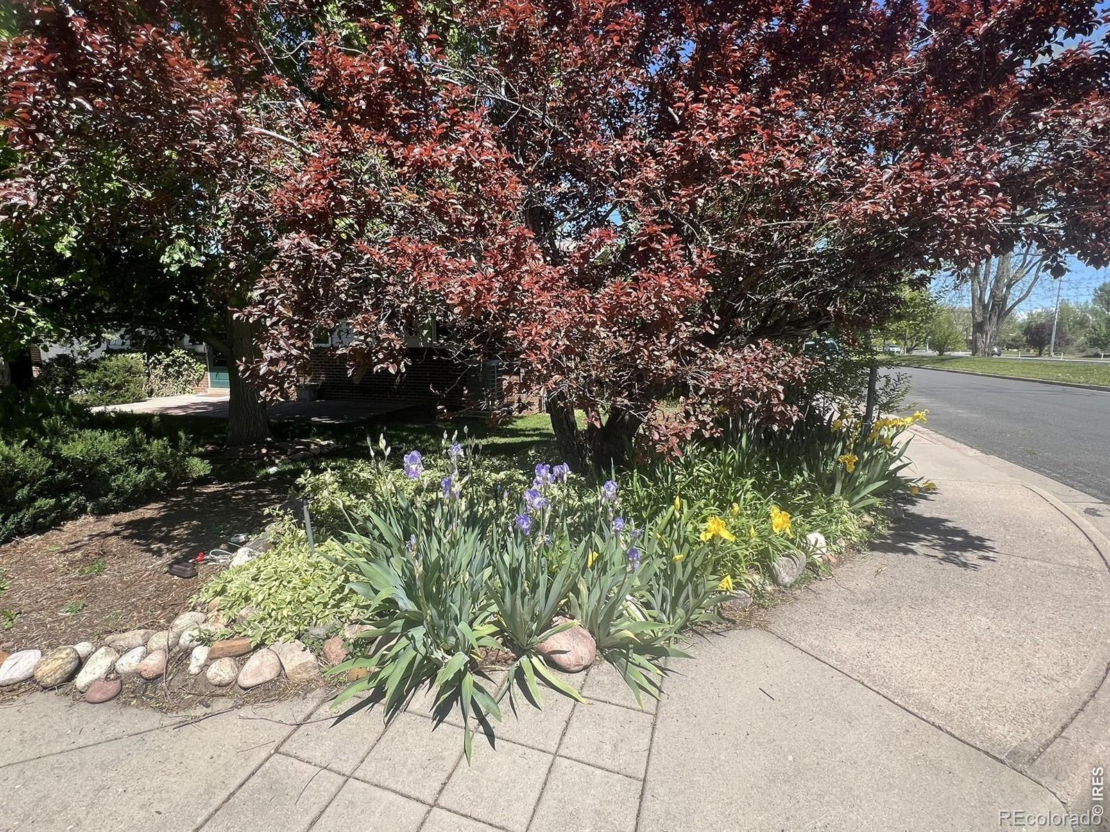 700 33rd Street Boulder CO 80303