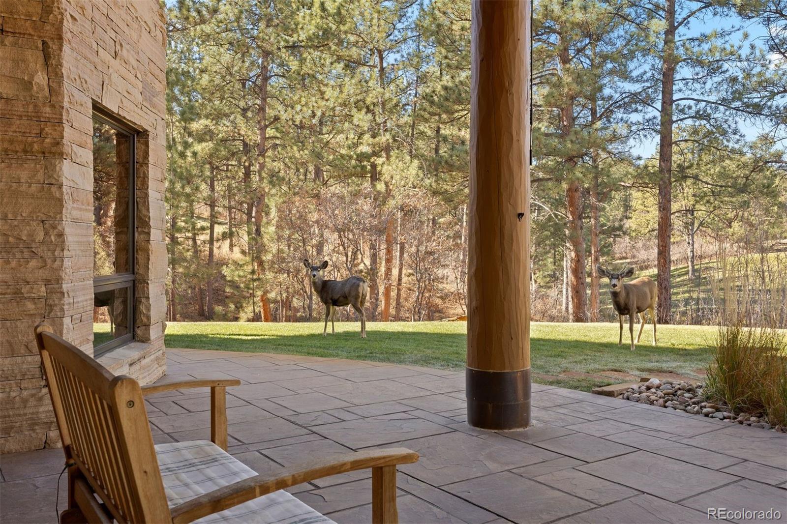 6833 Yampa Drive Larkspur CO 80118