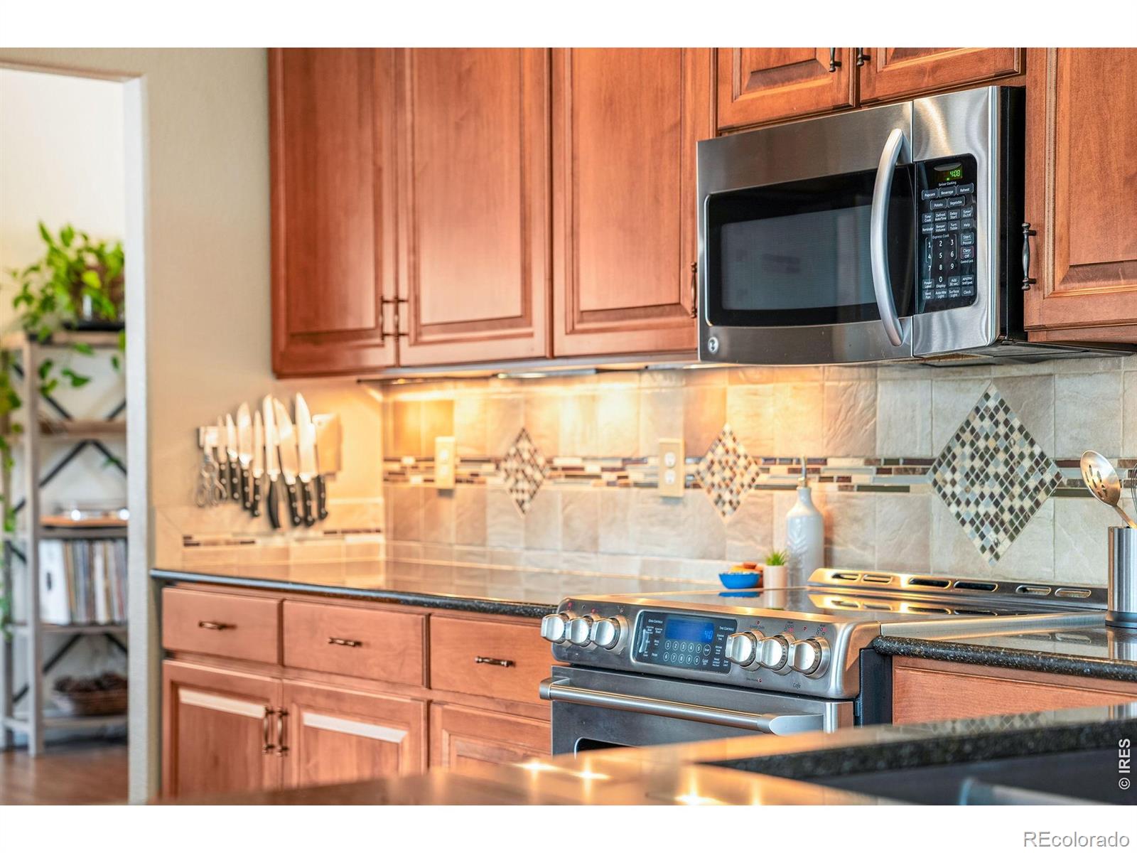1006 Fox Hills Drive Fort Collins CO 80526